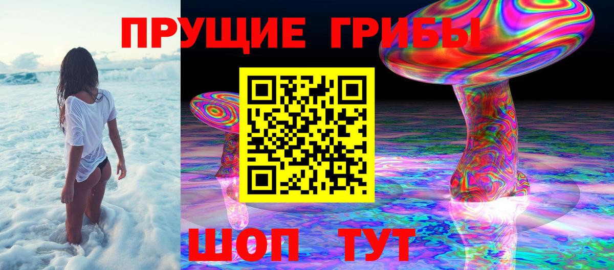 Галлюциногенные грибы GOLDEN TEACHER Коряжма
