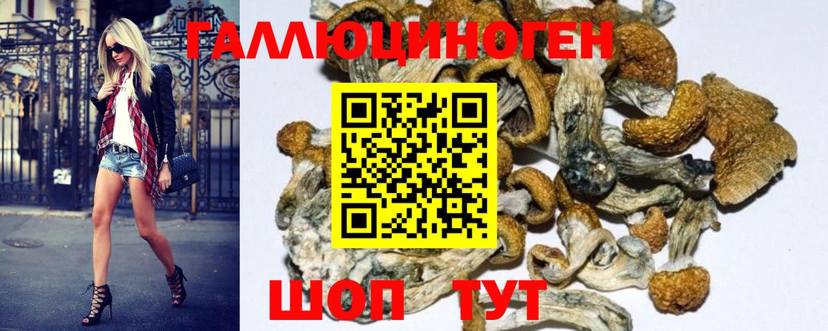 Галлюциногенные грибы ЛСД  Вход с VPN  Коряжма  Псилоцибиновые грибы MAGIC MUSHROOMS 